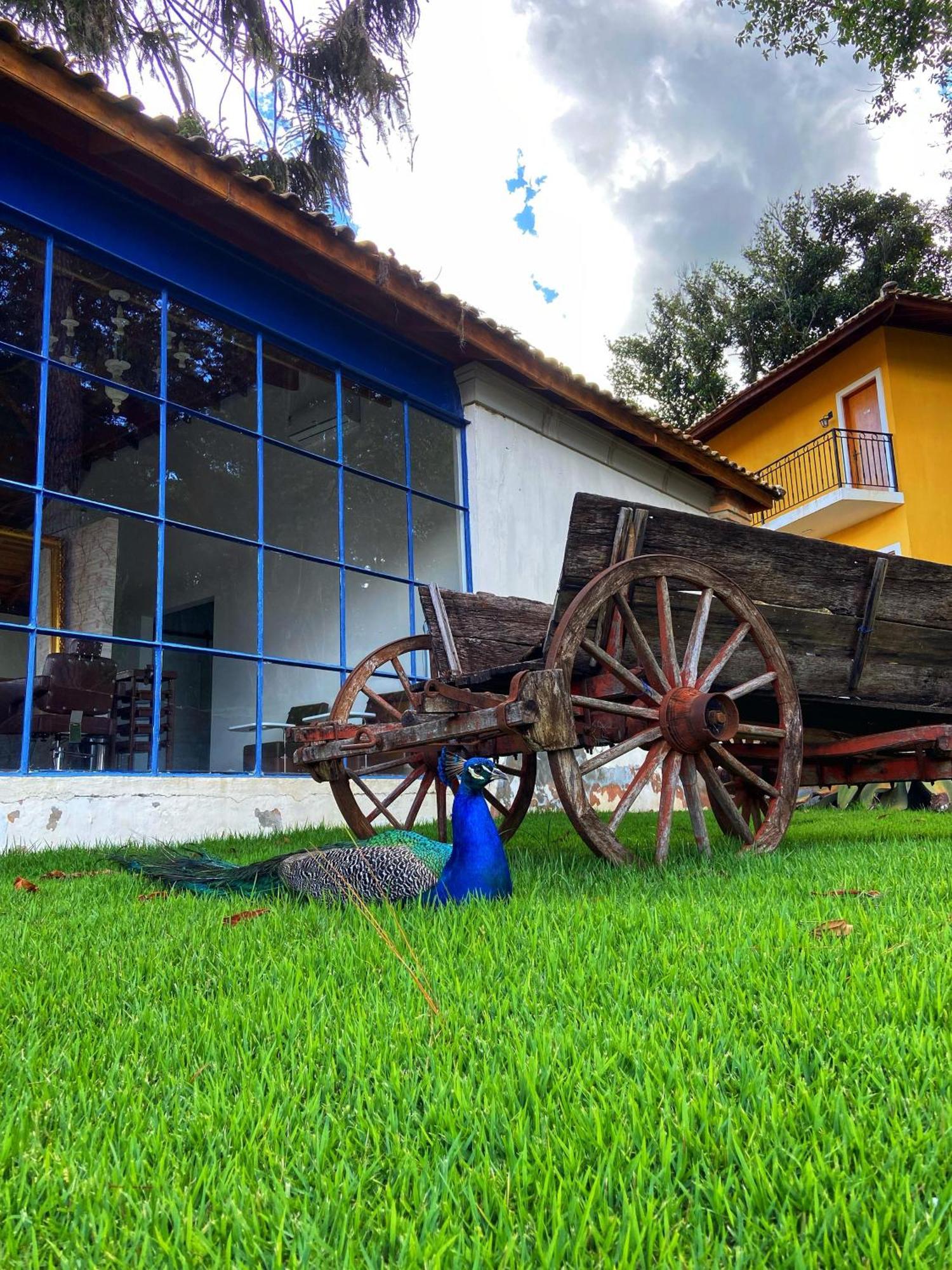 Hotel Fazenda Sao Silvano Morungaba Εξωτερικό φωτογραφία